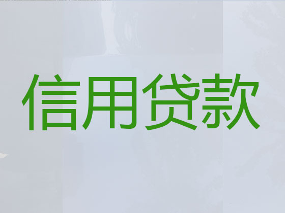 海安信用贷款中介公司